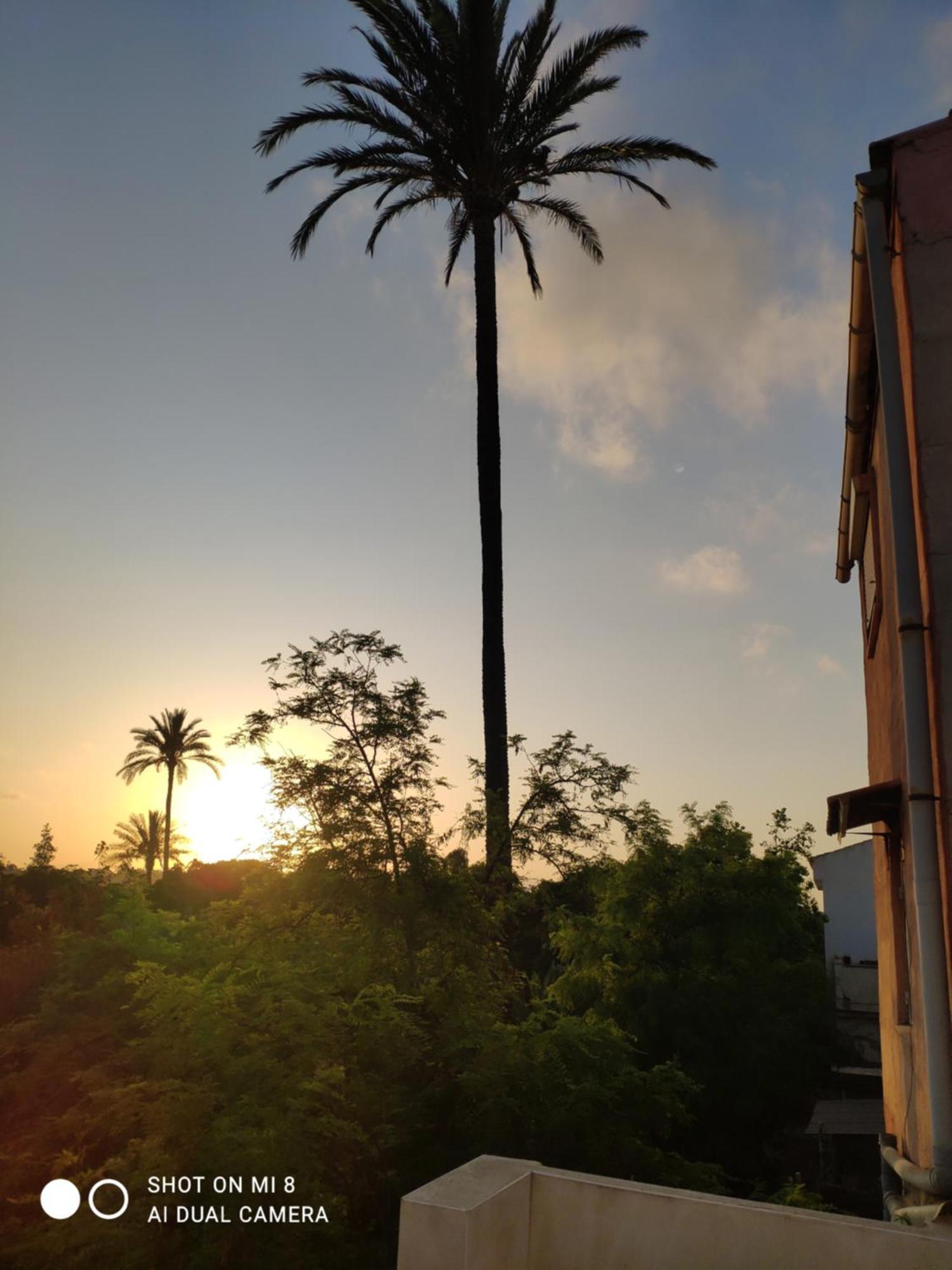 En Alicante La Casa Azul